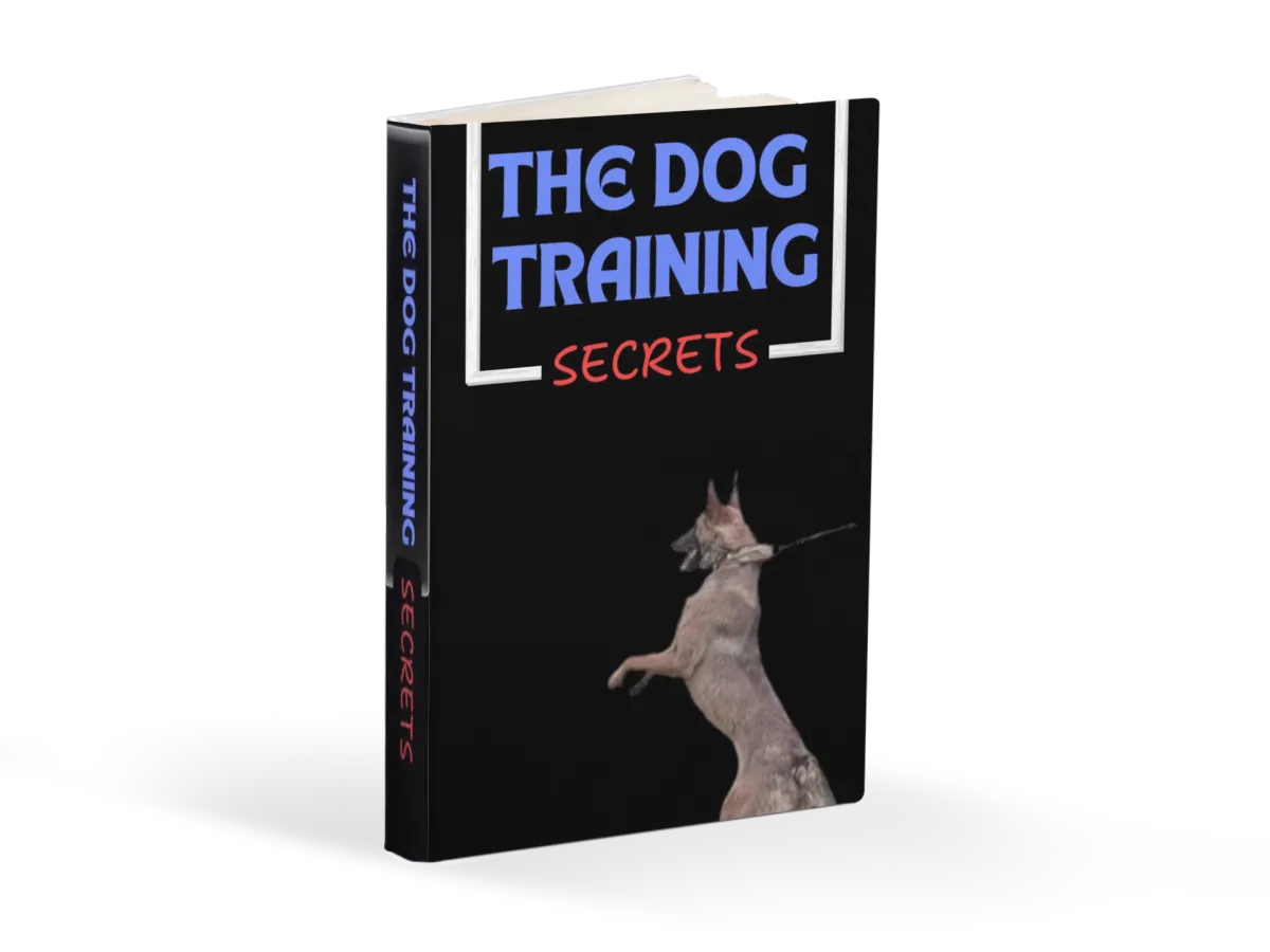 ebookcover