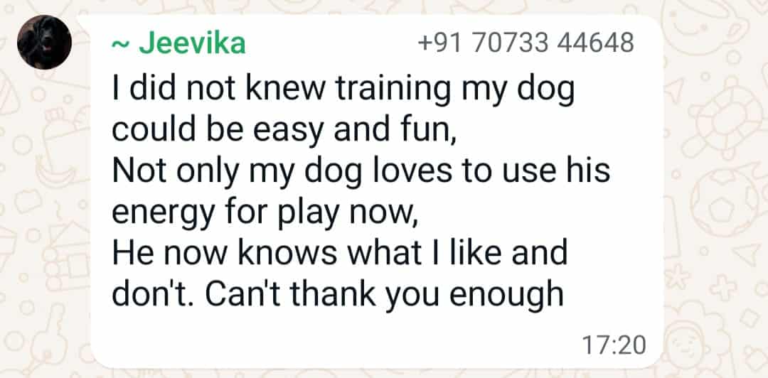 WhatsApp Image 2024-08-16 at 17.21.01