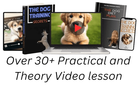 Over_30+_Practical_and_Theory_lesson-removebg-preview