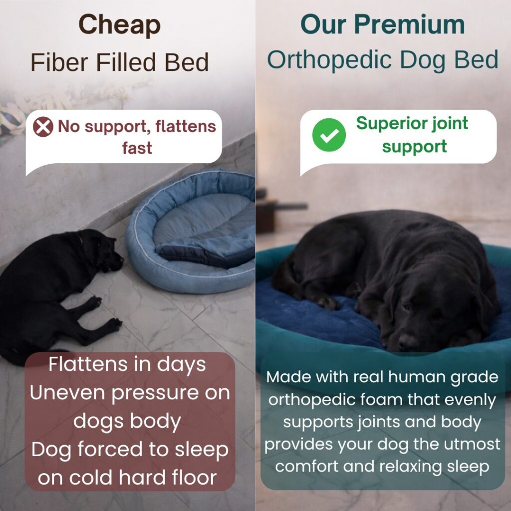 WhatsApp Image 2026-02-12 at 18.59.02