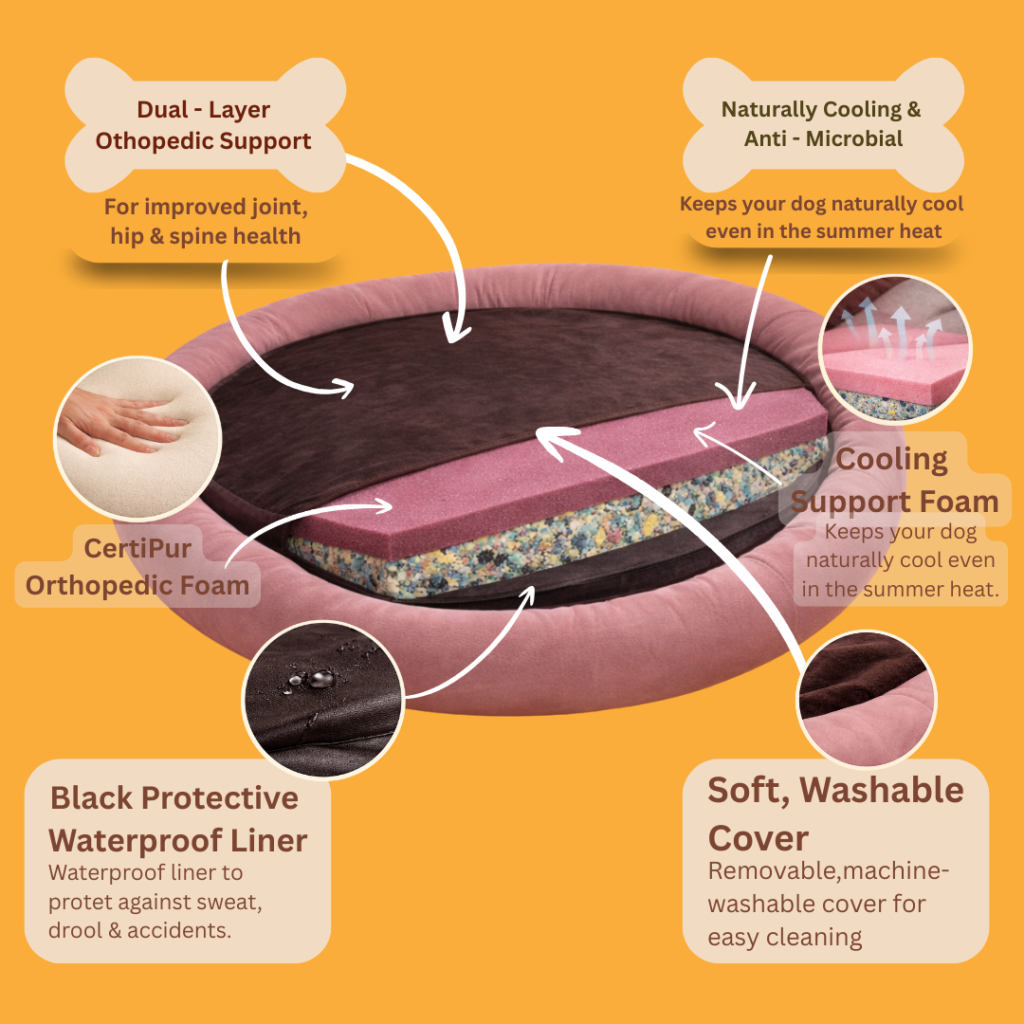 Copy of Dual - Layer Othopedic Support